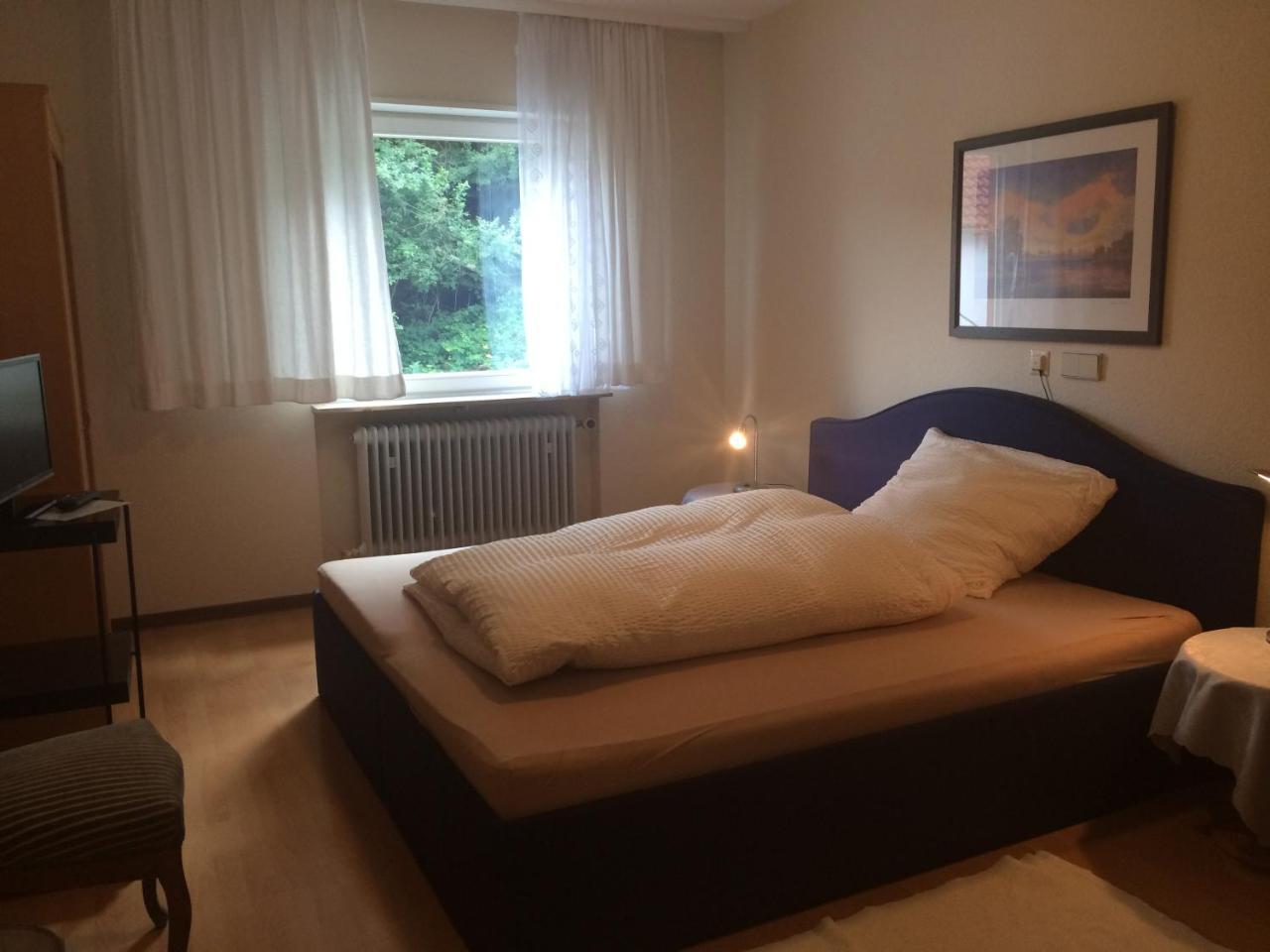 Icc Pfaelzer Hof - Hotel & Seminarhaus Schonau  Bagian luar foto